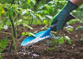 Fertilizers & Chemicals